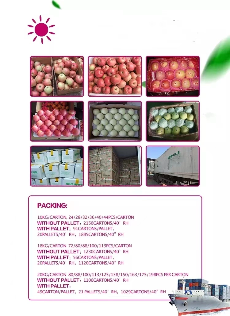 Wholesale Price Bulk Vegetable Fresh Fruit Organic Fruit