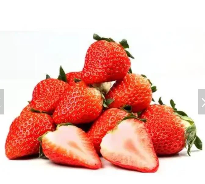 Frozen Bulk IQF Frozen Fruit Strawberry Dice with Good Price