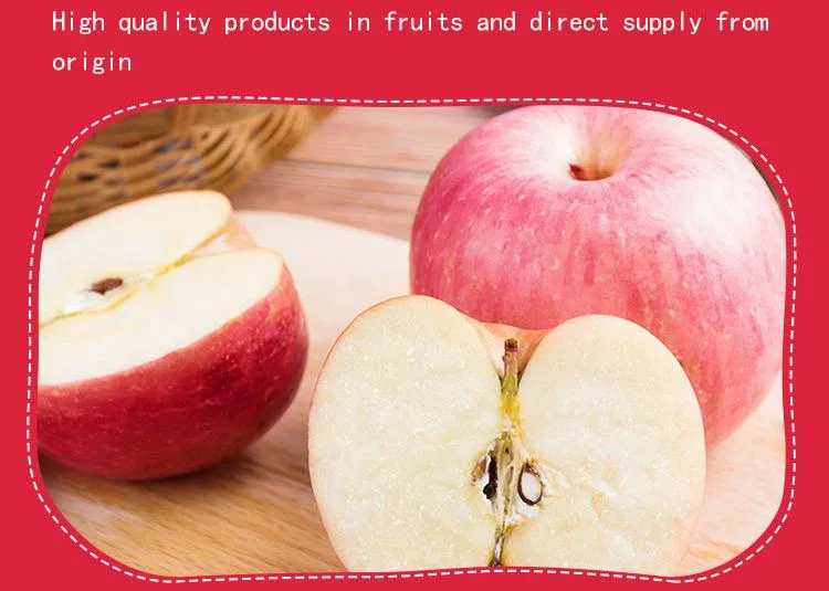 Top Quality Organic Apples Made in Italy 