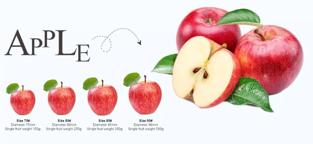 Top Quality Organic Apples Made in Italy 