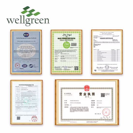Wellgreen USP Grade Colecalciferolo integra la vitamina D3 in polvere