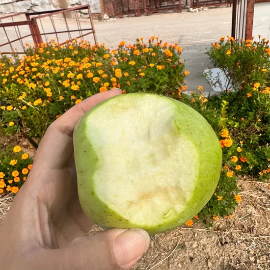 Mela fresca della frutta naturale della mela FUJI del nuovo raccolto della Cina